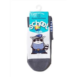БРЕСТСКИЕ Носки SCHOOL 3081 (с рисунком)