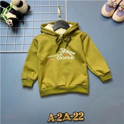 кофта 2057100-2