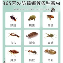 Японские ароматические саше с нафталином  12шт