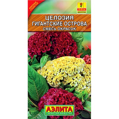 Целозия Гигантские острова смесь (Код: 5226)