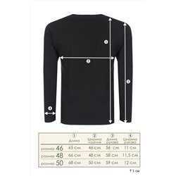 Футболка с длинным рукавом ФН176 Superior