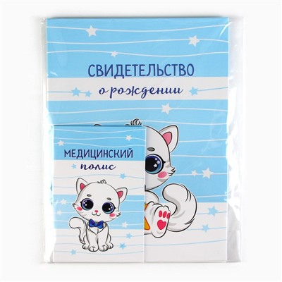 Папка для документов набор «Мои первые документы», 23.5×31.3 см