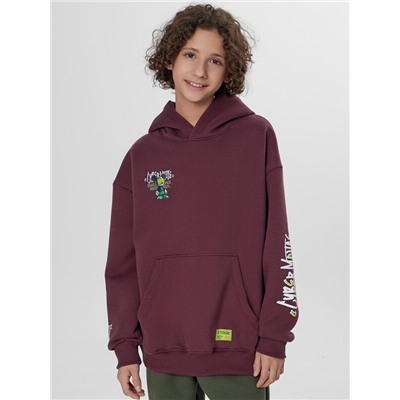 ХУДИ ДЛЯ МАЛЬЧИКОВ 123416-1