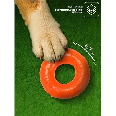Жевательная игрушка дял собак «Кольцо», 6.7×2 см, прозрачная, PP, оранжевая