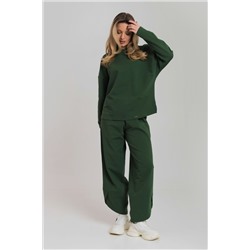 Костюм толстовка и брюки М326010х