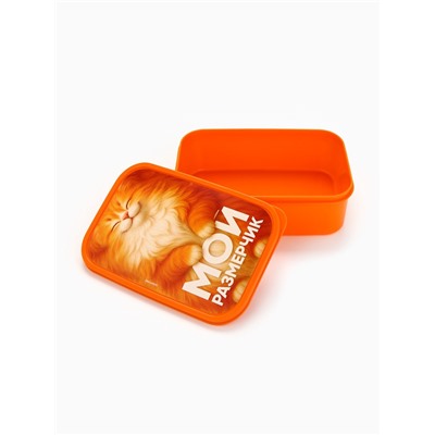 Ланч - бокс прямоугольный «Мой размерчик», 1200 мл