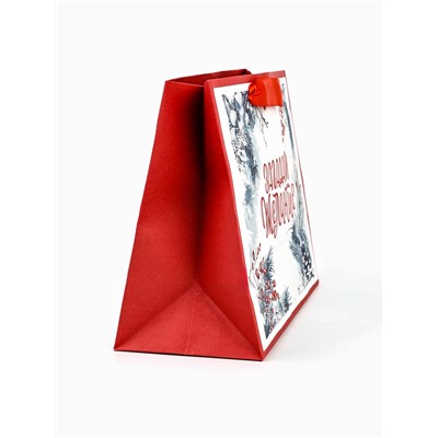 Пакет подарочный новогодний крафтовый, «Загадай желание», 23×18×10 см