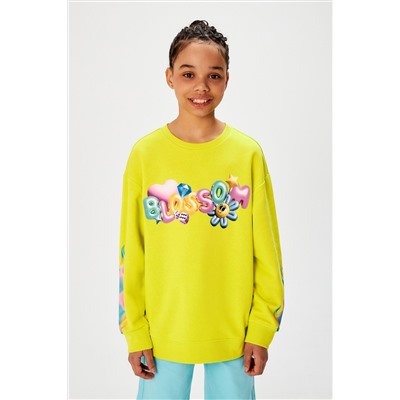 Джемпер ACOOLA, 1039288