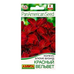 Семена цветов Колеус блюме Красный вельвет Мн Спецсерия PanAmerican, Ц/П,5 шт.
