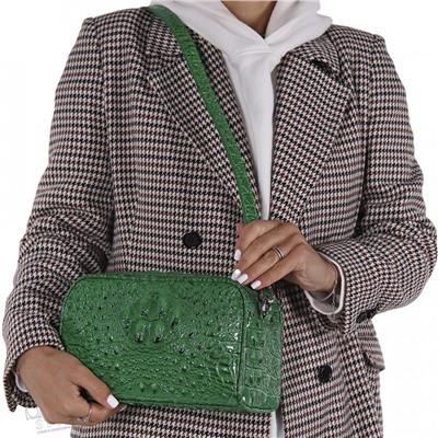 Сумка женская  29018-11 green Velina Fabbiano-Safenta/50