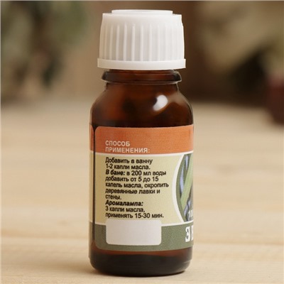 Чаша - испаритель для бани и сауны «Сауна ароматик», с крепежом, эфирным маслом, гималайской солью