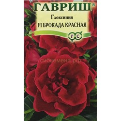 Глоксиния Брокада красная F1 (Гавр)