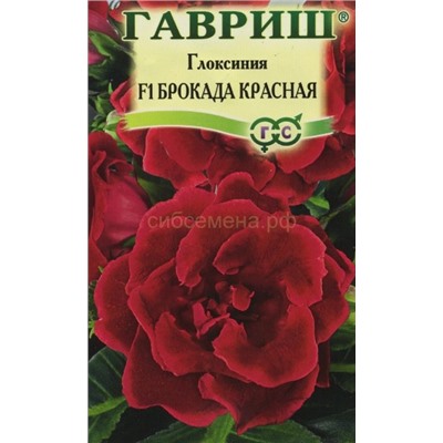 Глоксиния Брокада красная F1 (Гавр)