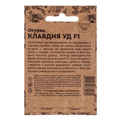 Набор семян Огурец "Клавдия", F1, 5 шт.