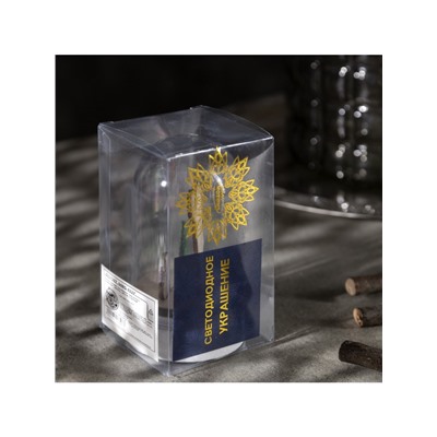 Светодиодная фигура под куполом «Дед Мороз» 6×9.5×6 см, дерево, батарейки LR1130×3 (нет в комплекте), свечение тёплое белое