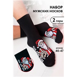 Носки мужские Зимний гость комплект 2 пары