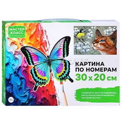 Набор для рисования "Картина по номерам 30х20 см. Увлечение"