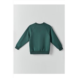 Свитшот для мальчиков MARK FORMELLE, 1238463