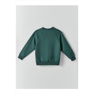 Свитшот для мальчиков MARK FORMELLE, 1238463