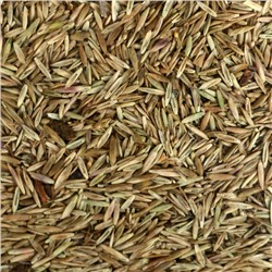 Газонная травосмесь «Красотень», «Гном» 1 кг