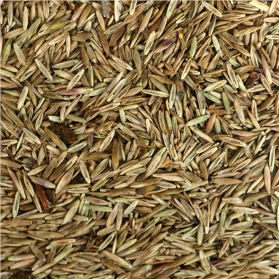 Газонная травосмесь «Красотень», «Гном» 1 кг