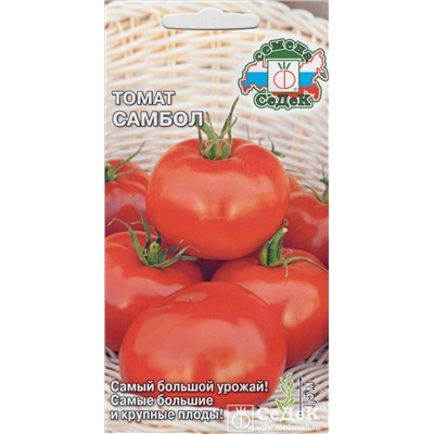 Томат Самбол (Седек)