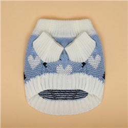 Свитер для животных «Волна», XS (ДС 17, ОШ 17, ОГ 23-37 см), голубой
