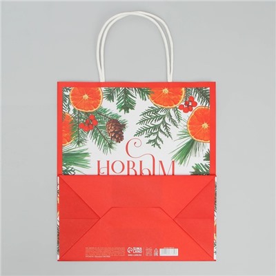 Пакет подарочный новогодний крафтовый «Новогоднее чудо», 22×25×12 см