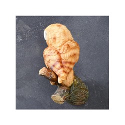 Садовая фигура из полистоуна «Совёнок на ветке», подвесная, 19×9×17.2 см