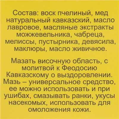 Мазь «Монастырская Феодосия Кавказского» от головной боли, «Бизорюк», 25 мл