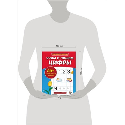 Эксмо А. А. Соколова "Учим и пишем цифры"