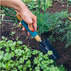 Совок посадочный Greengo, длина 33.5 см, ширина 6.5 см, деревянная ручка с поролоном