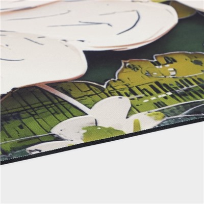 Коврик для дома Доляна Anemona, влаговпитывающий, 39×60 см