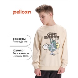 PELICAN Толстовка BFN3370/1U