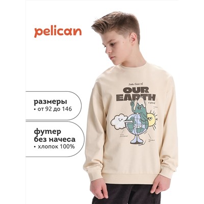 PELICAN Толстовка BFN3370/1U