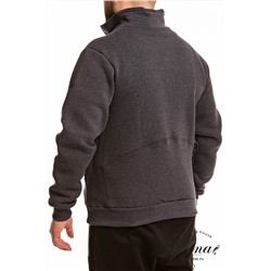 Толстовка (начес) М12121ВШб