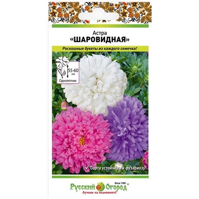 Астра Шаровидная смесь (Код: 93656)