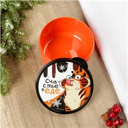 Ланч - бокс новогодний «Счастье в еде», 500 мл