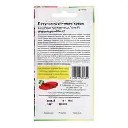 Семена цветов Петуния крупноцветковая Сан Ремо Кружевница F1, О, 10 шт