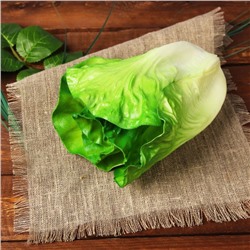 Муляж «Листья салата», 17 см