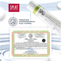 Зубная паста Splat Professional «Длительная свежесть», 100 мл