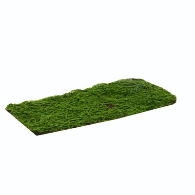 Декоративная панель, 90×40 см, «Мох», Greengo