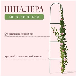 Шпалера, 140×23×1 см, металл, зелёная, «Лестница», МИКС