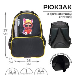 Рюкзак школьный, эргономичная спинка, 37×26×13 см «Крутой кот»