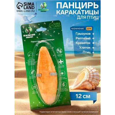 Панцирь каракатицы для птиц «Манго», 12 см