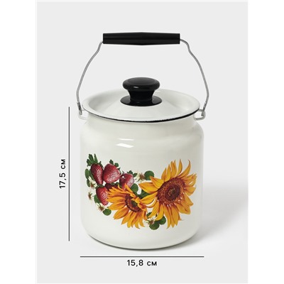 Бидон эмалированный, 3 л, с ручкой и крышкой, белый, рисунок МИКС