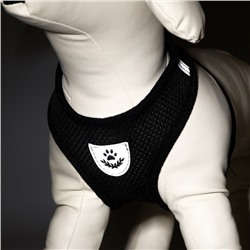 Комплект амуниции с мягкой шлейкой и светоотражающей нашивкой, L, ОШ 33, ОГ 36-48, чёрный