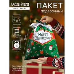 Пакет подарочный новогодний с завязками, «Счастливого рождества», 24×32 см
