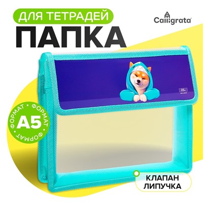Папка для тетрадей, А5, пластиковая, 23×19×5 см «Сиба»