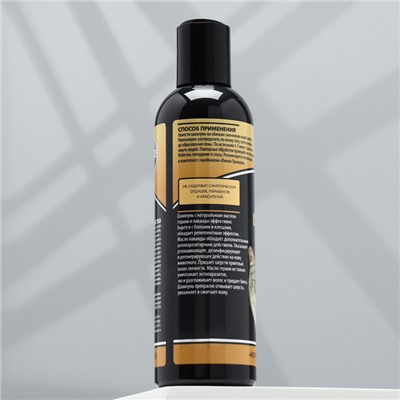 Шампунь «Пижон Premium» антипаразитарный для кошек и котят двойная защита, 250 мл